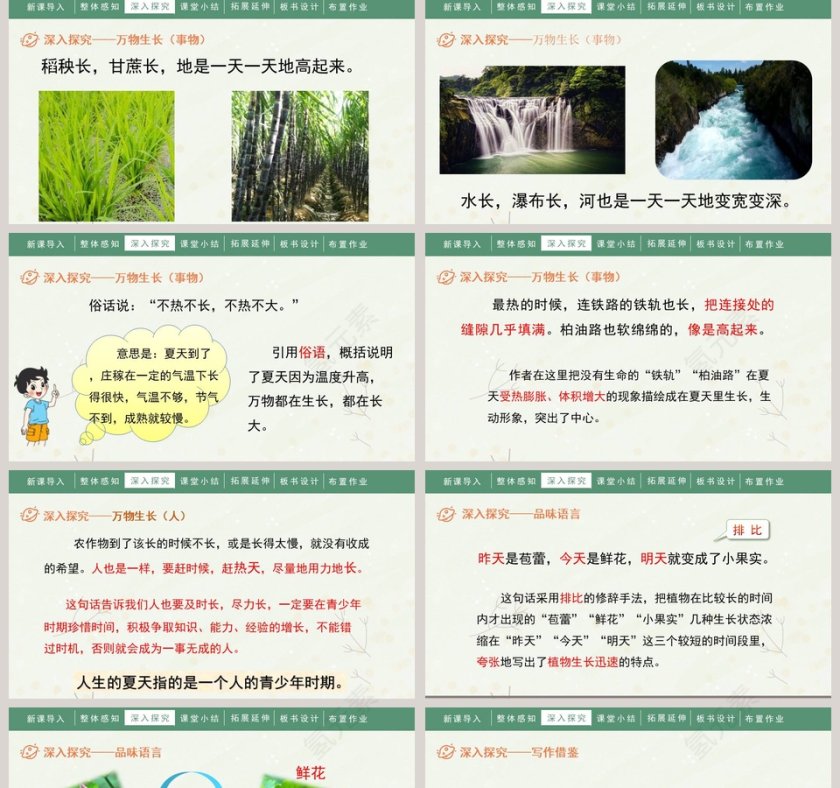 人教部编版六年级语文上册夏天里的成长语文课件PPT第5张