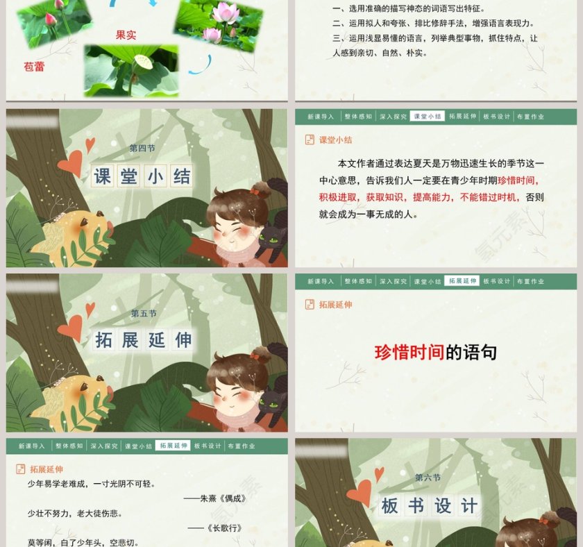 人教部编版六年级语文上册夏天里的成长语文课件PPT第6张