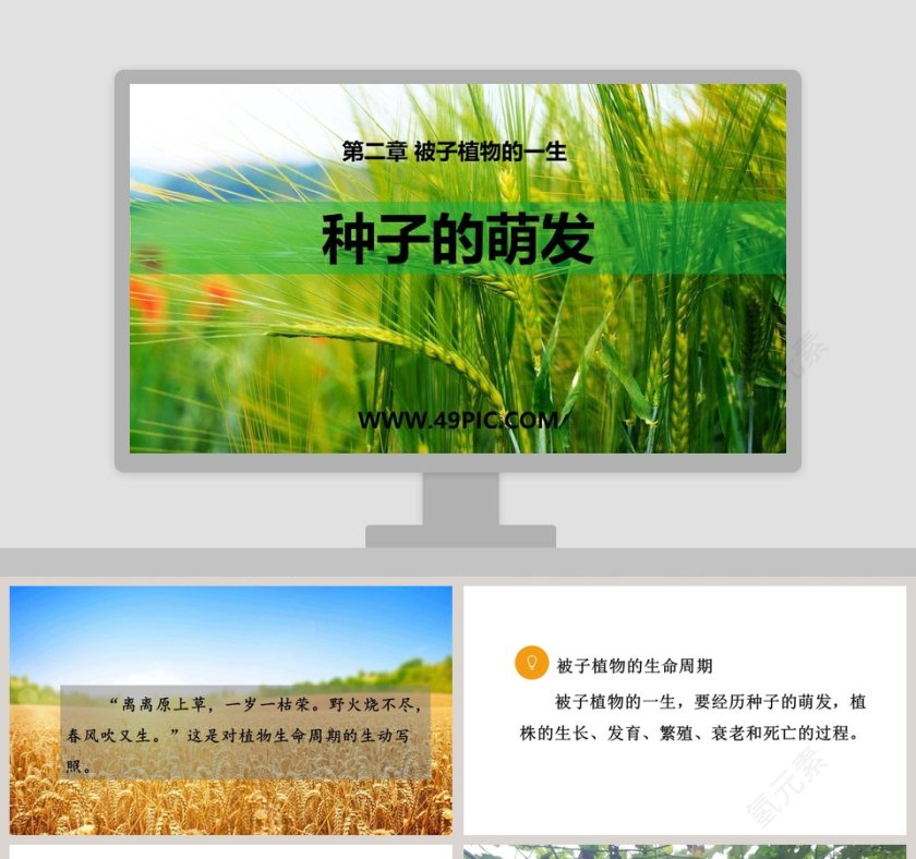 第二章 被子植物的一生-种子的萌发教学ppt课件第1张