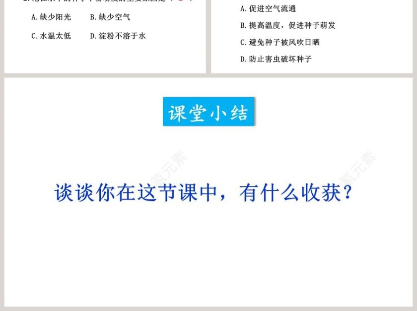 第二章 被子植物的一生-种子的萌发教学ppt课件第6张