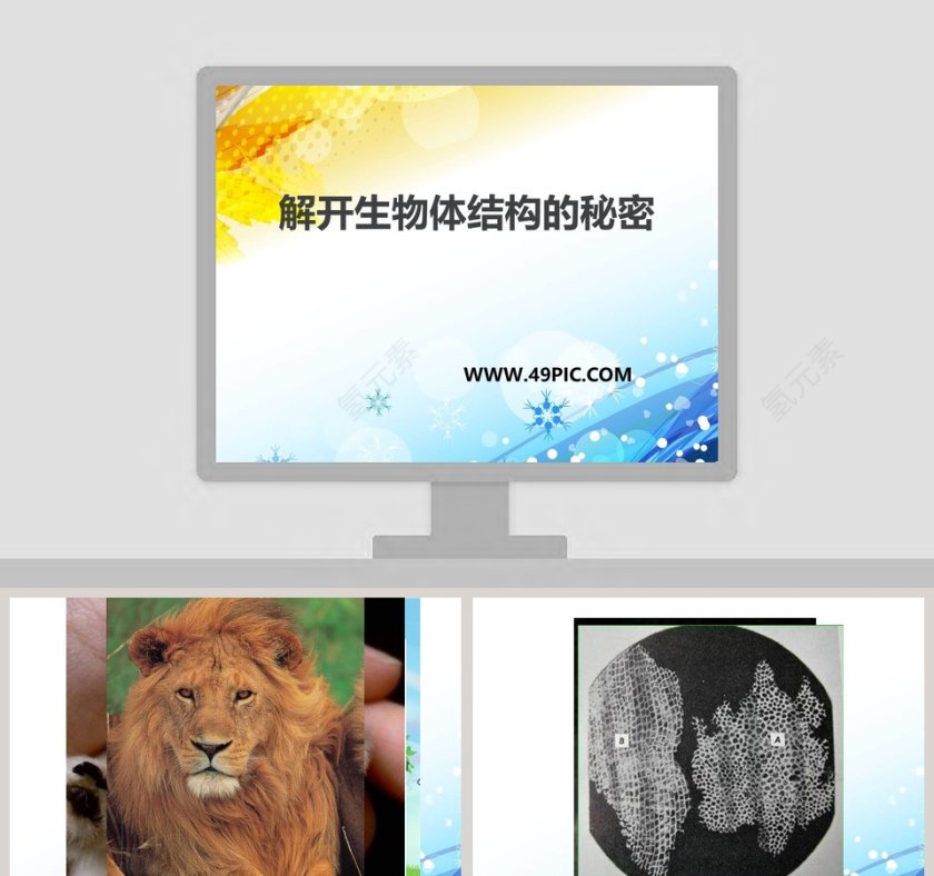 解开生物体结构的秘密教学ppt课件第1张