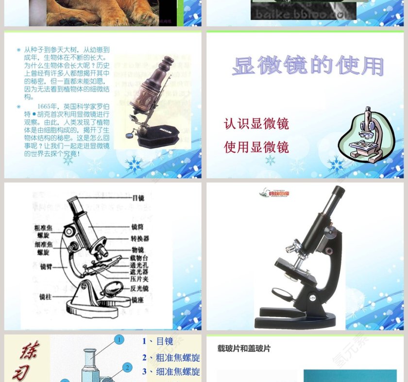 解开生物体结构的秘密教学ppt课件第2张