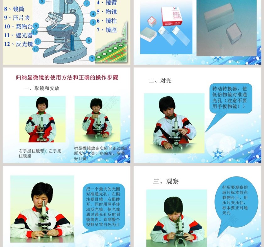 解开生物体结构的秘密教学ppt课件第3张