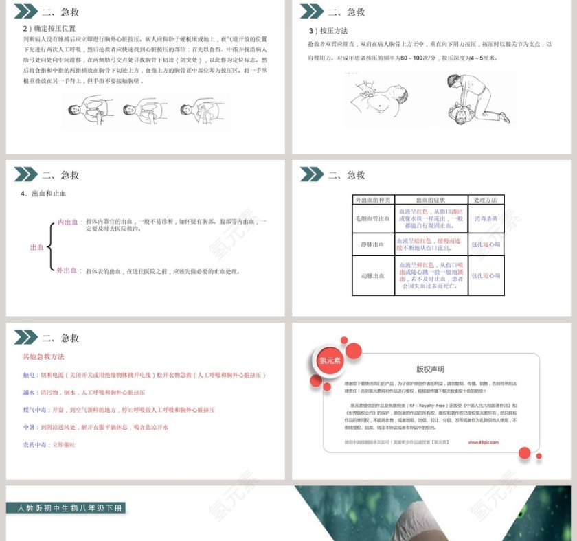 人教版初中生物八年级下册教学ppt课件第5张