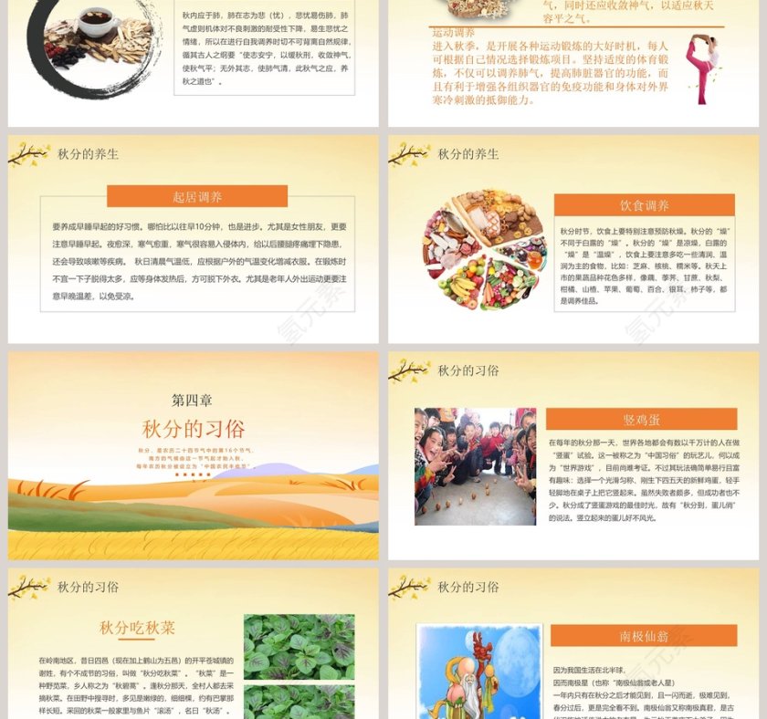 二十四节气主题PPT秋分节气PPT模板第3张