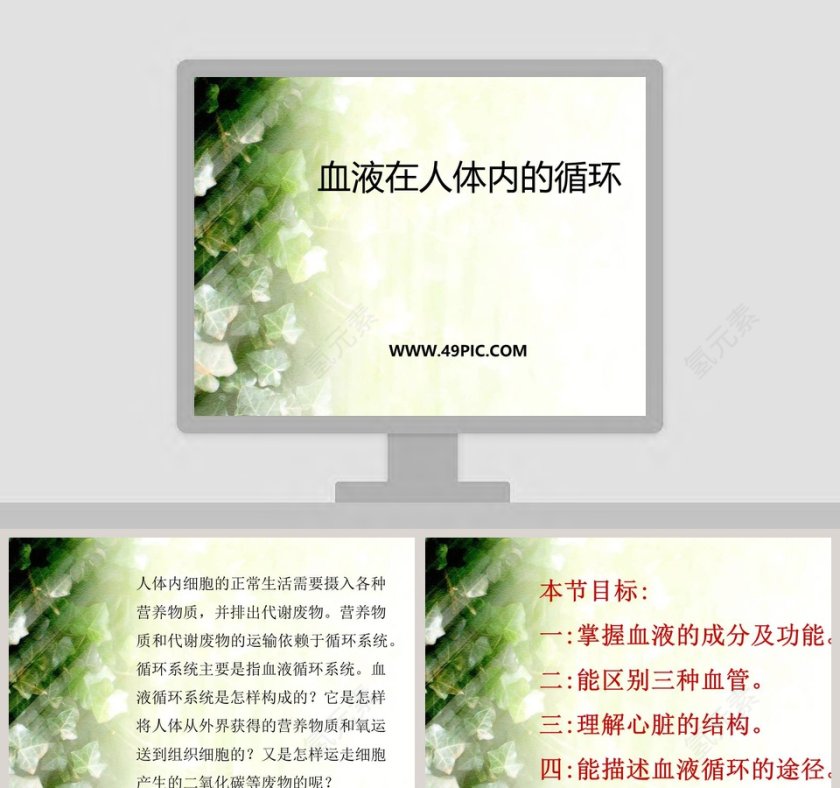 血液在人体内的循环-PPT模板第1张