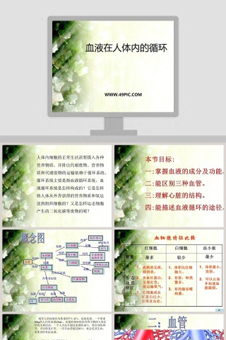 血液在人体内的循环-PPT模板
