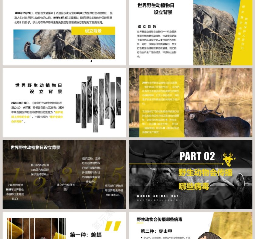 简约清新保护野生动物PPT模板第2张