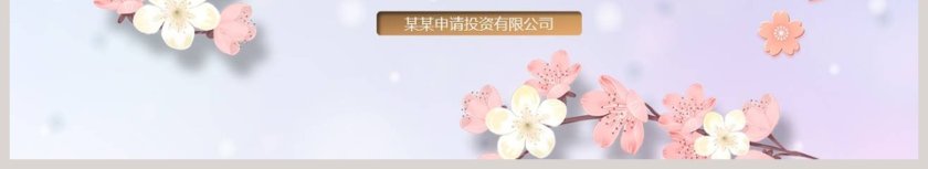 粉色清新20xx简约商业项目计划书第6张