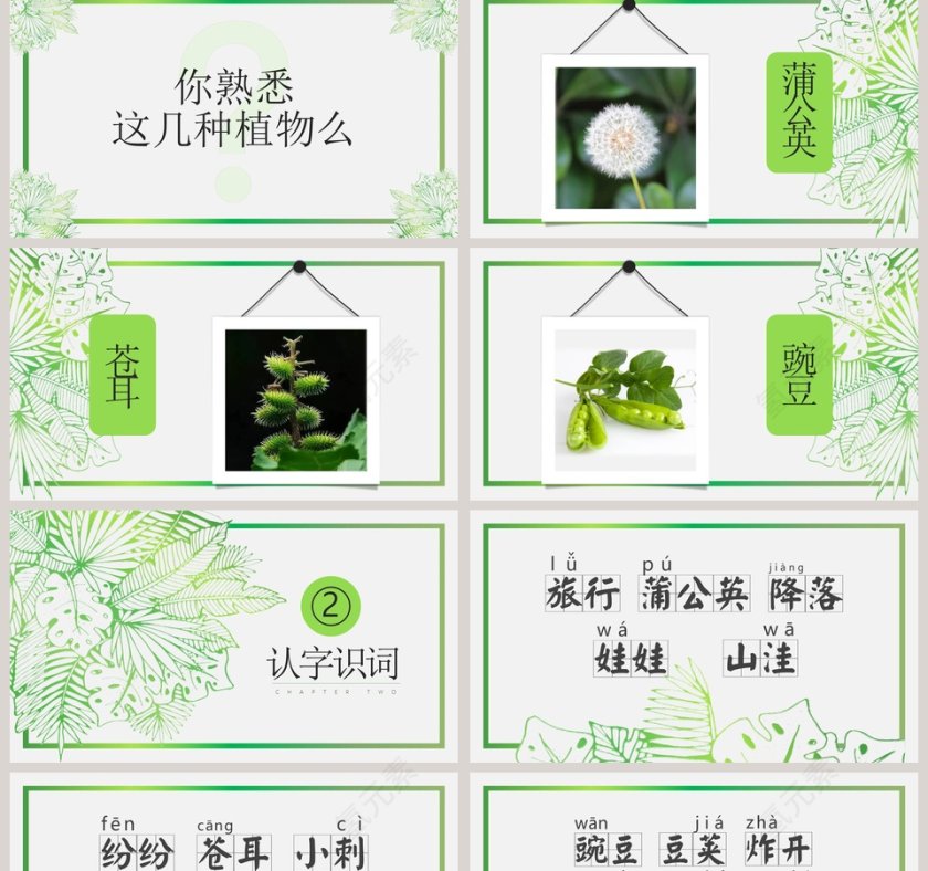 植物妈妈有办法ppt第2张