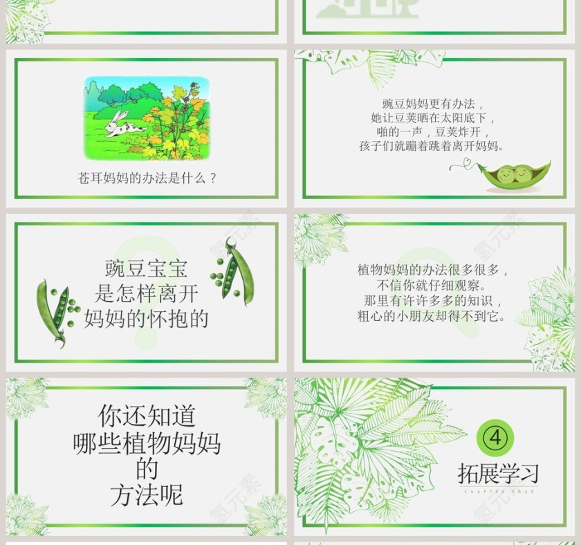 植物妈妈有办法ppt第4张