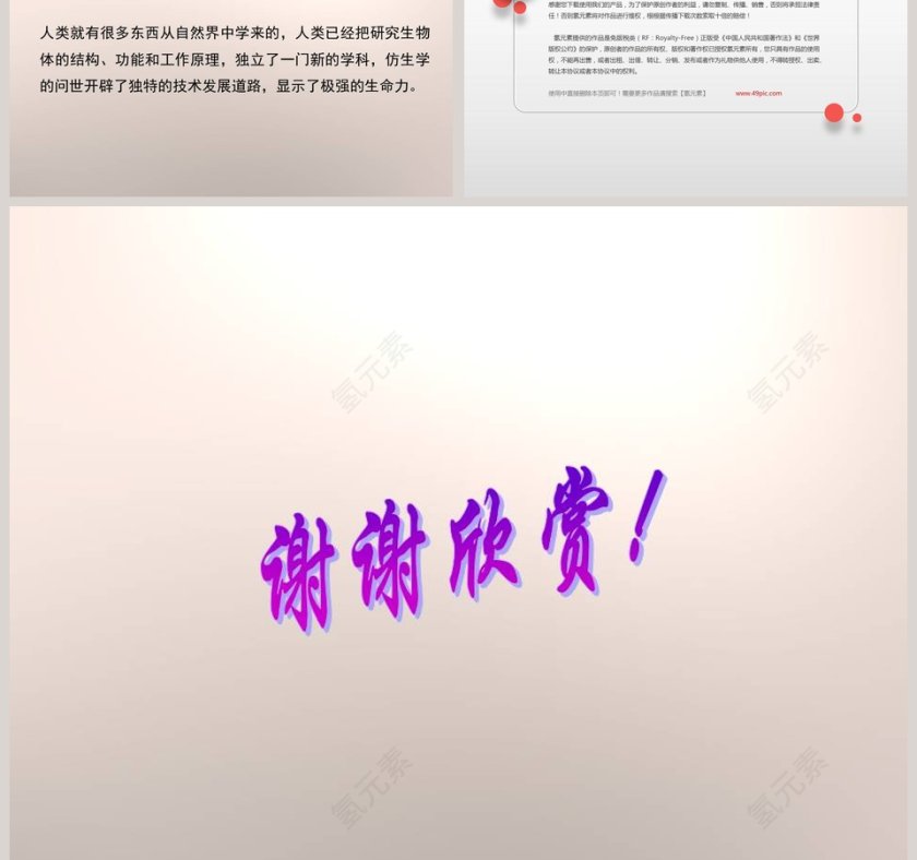 动物的防御-五年级科学下册教学ppt课件第9张