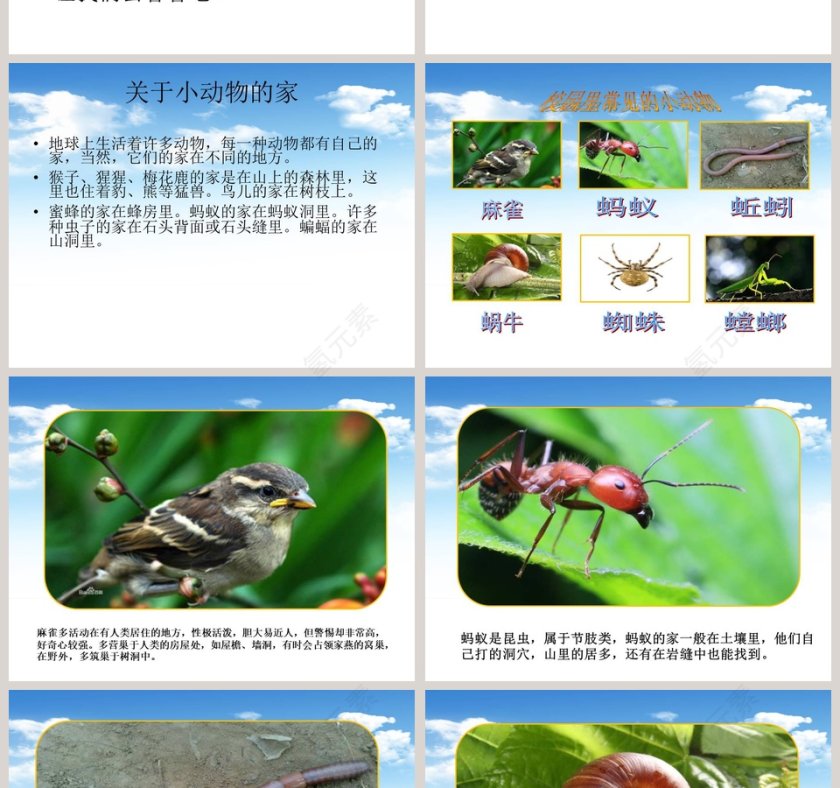 教学ppt课件第2张