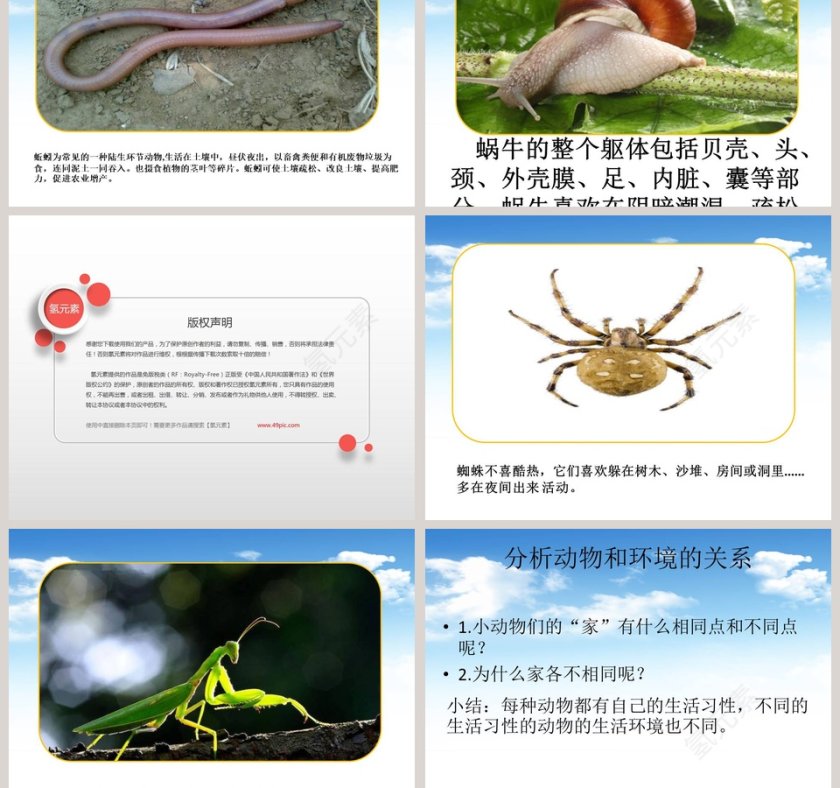 教学ppt课件第3张