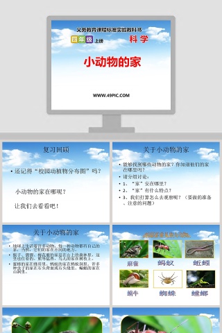 教学ppt课件