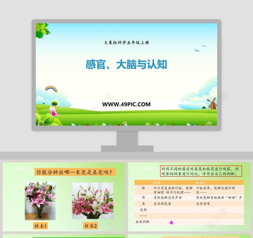 感官大脑与认知-大象版科学五年级上册教学ppt课件第1张
