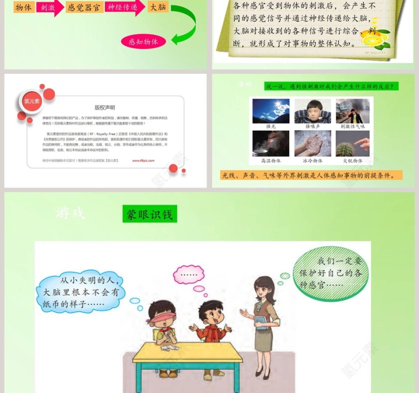感官大脑与认知-大象版科学五年级上册教学ppt课件第3张