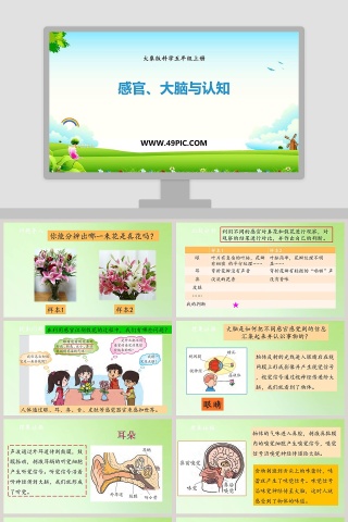 感官大脑与认知-大象版科学五年级上册教学ppt课件