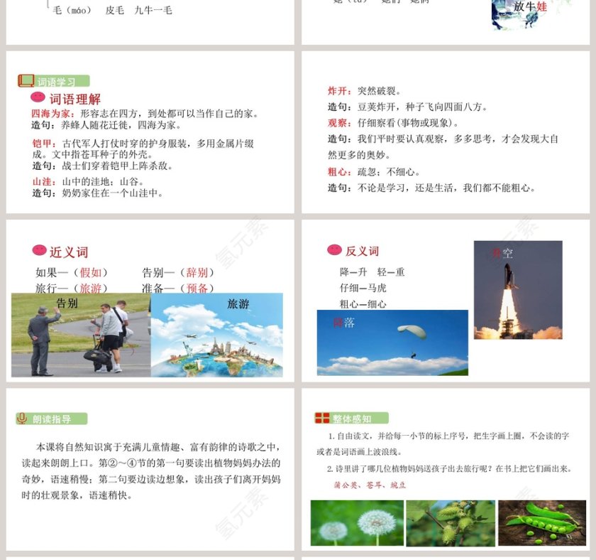 课文解析植物妈妈有办法语文课件PPT第4张