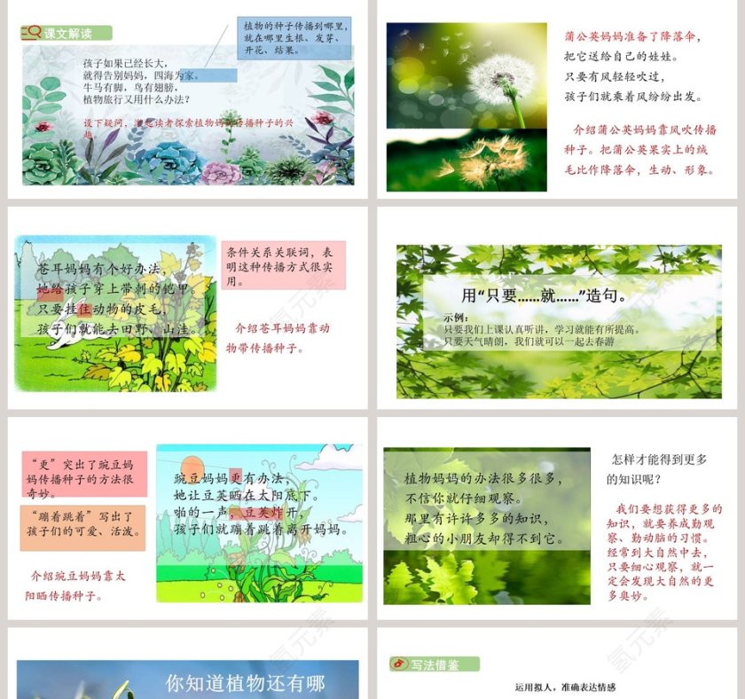 课文解析植物妈妈有办法语文课件PPT第5张