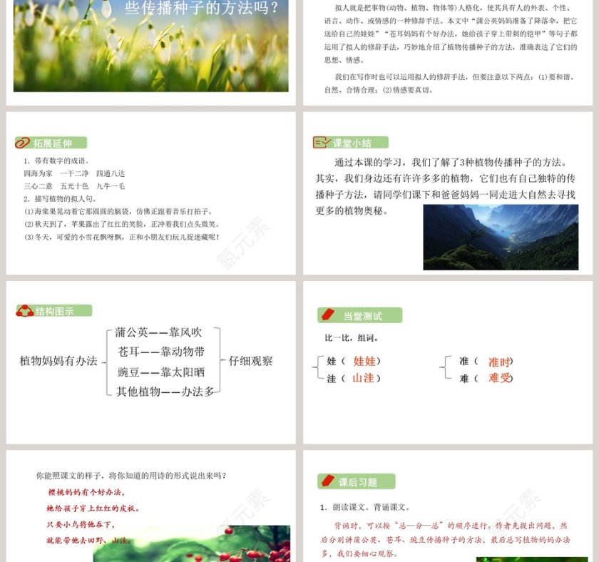 课文解析植物妈妈有办法语文课件PPT第6张