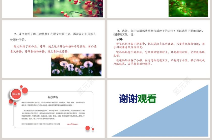 课文解析植物妈妈有办法语文课件PPT第7张