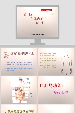 食 物在体内的旅 行教学ppt课件
