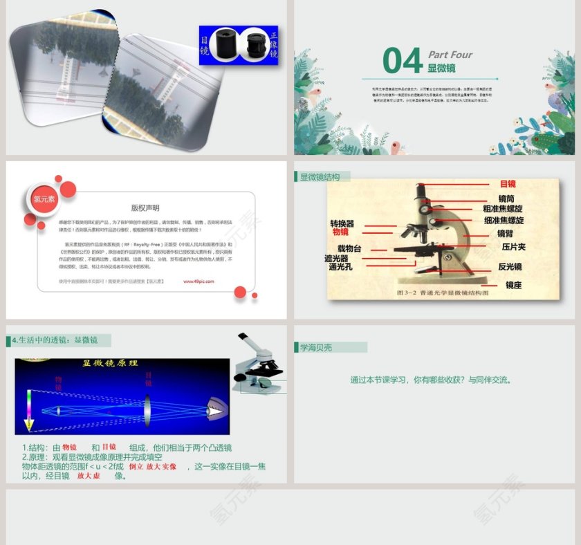 北师大版八下-教学ppt课件第5张