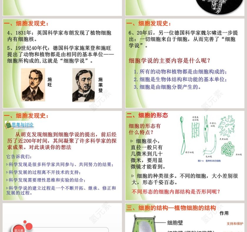 细胞教学ppt课件第2张