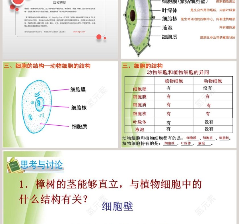细胞教学ppt课件第3张