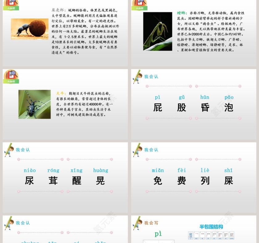我是一只小虫子语文教学课件PPT模板第2张