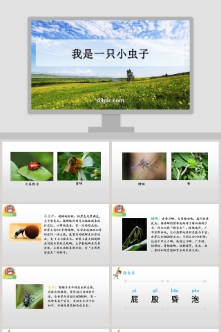 我是一只小虫子语文教学课件PPT模板