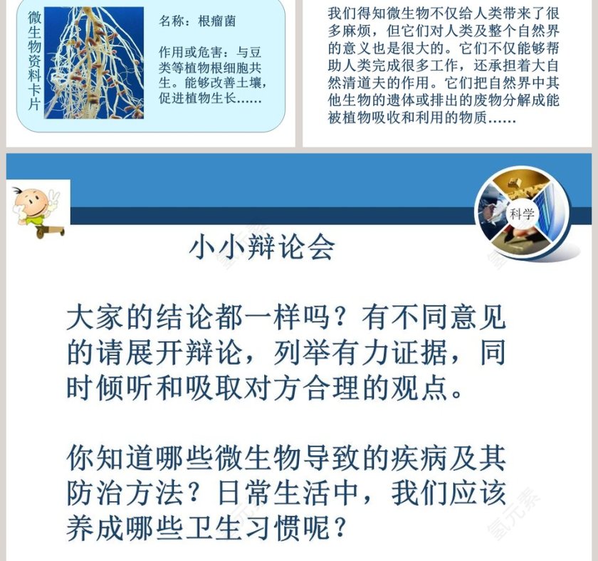 微生物的功与过教学ppt课件第3张