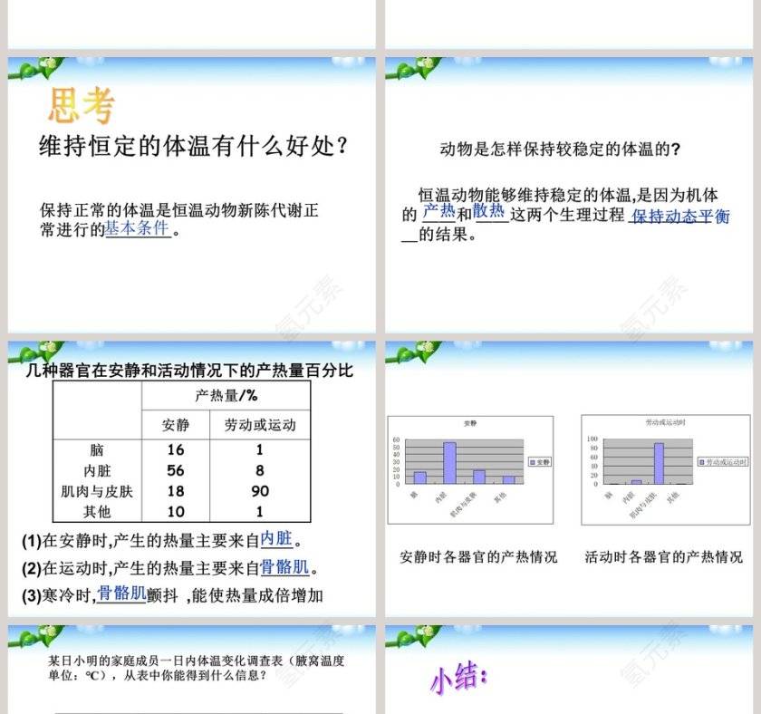 体温的控制教学ppt课件第2张