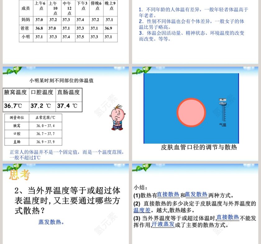 体温的控制教学ppt课件第3张