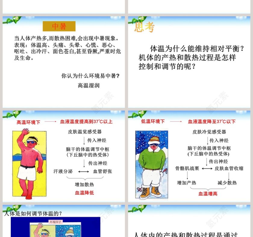 体温的控制教学ppt课件第4张