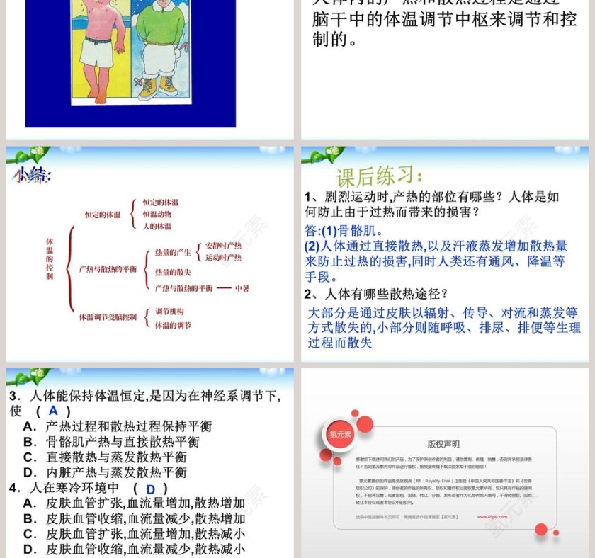 体温的控制教学ppt课件第5张
