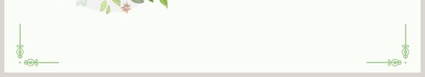 清新简约商业创业计划书PPT第6张