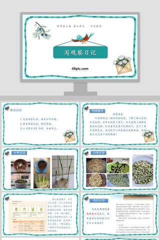 习作指导四年级语文上册写观察日记语文课件PPT