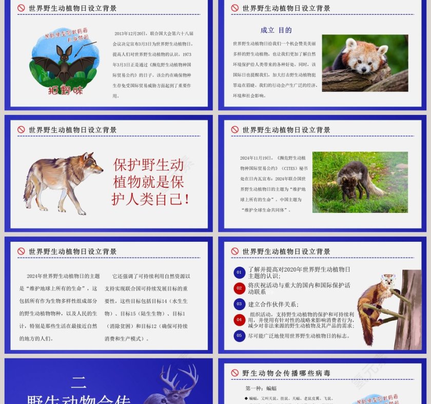 禁食野味保护野生动物PPT模板第2张