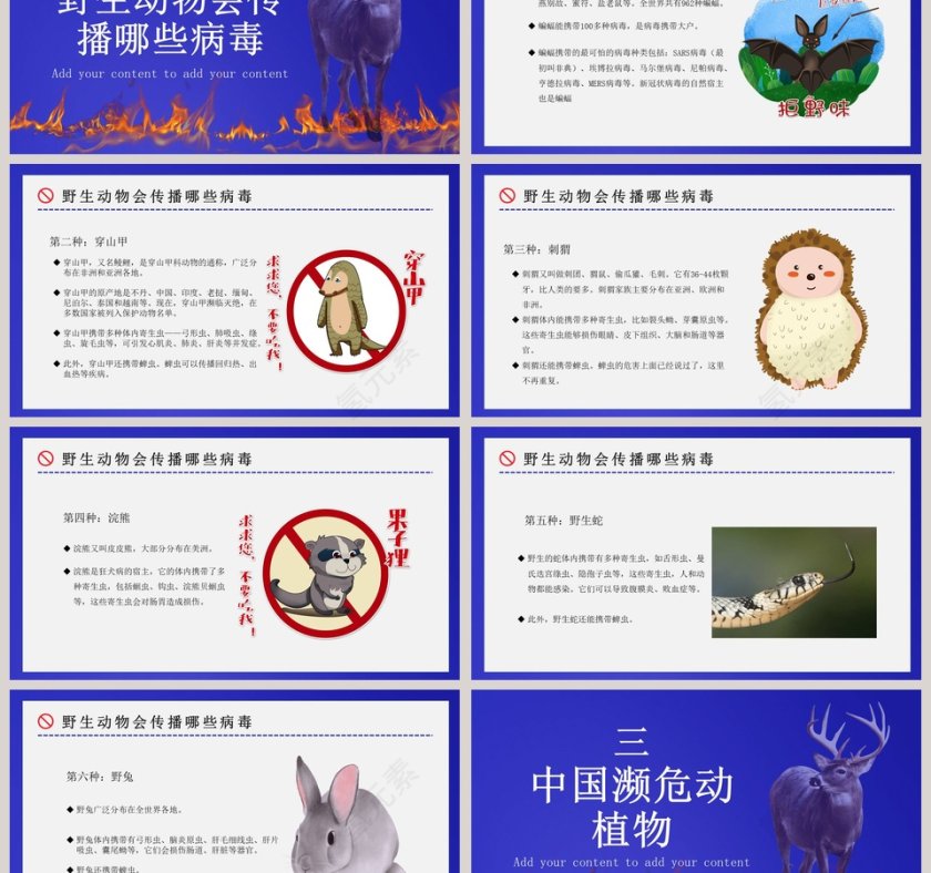 禁食野味保护野生动物PPT模板第3张