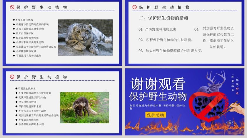 禁食野味保护野生动物PPT模板第5张
