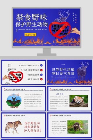 禁食野味保护野生动物PPT模板