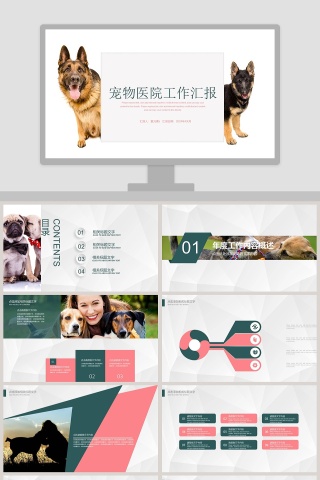 宠物医院工作汇报PPT模板