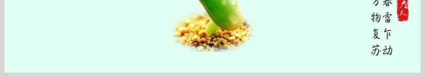 清新春季新品发布会PPT模板第6张