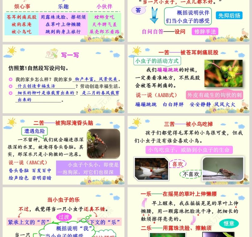二年级语文下册我是一只小虫子语文课件PPT第3张