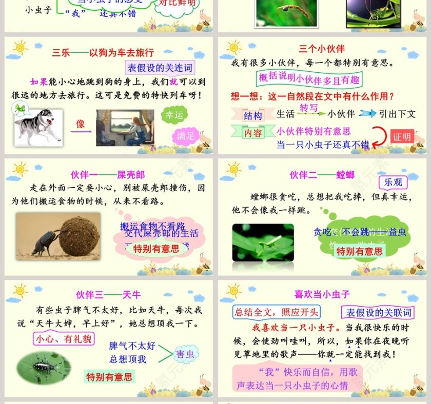 二年级语文下册我是一只小虫子语文课件PPT第4张