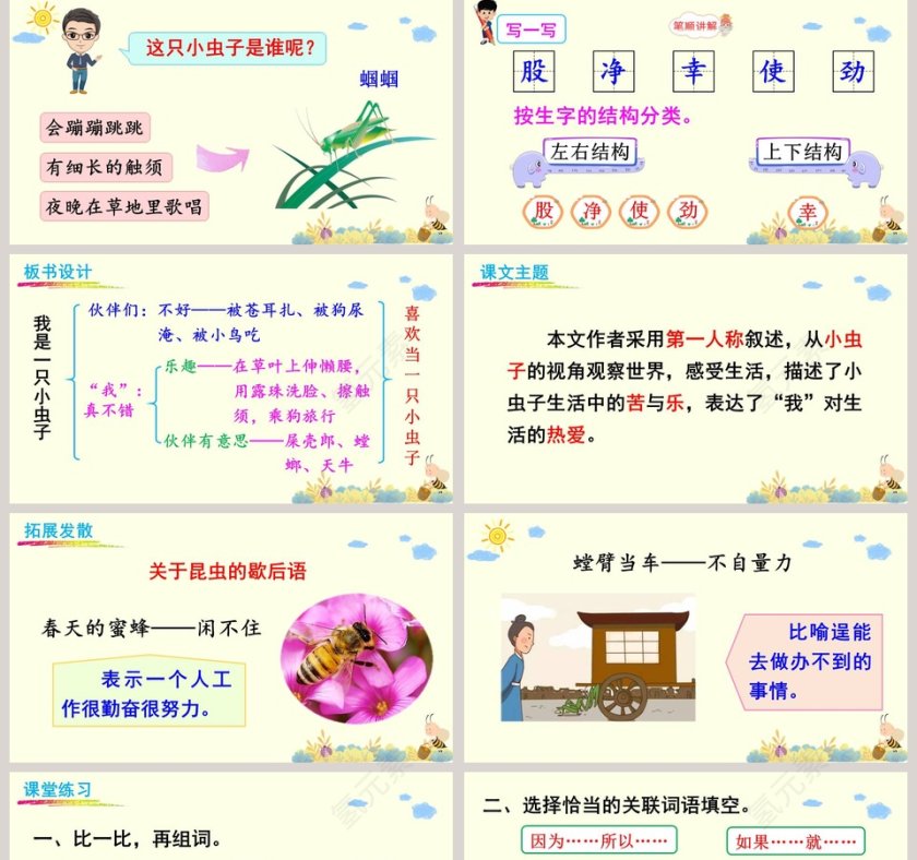 二年级语文下册我是一只小虫子语文课件PPT第5张