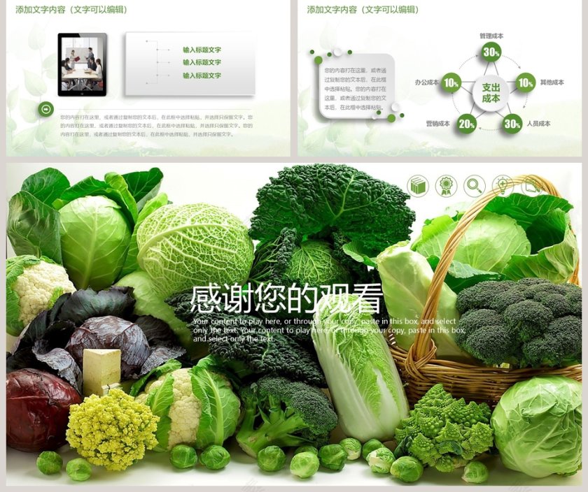 绿色食品简约工作汇报PPT第5张