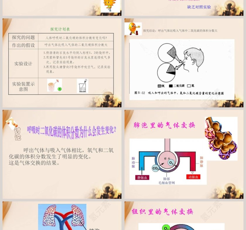 气体在人体中的进出教学ppt课件第2张